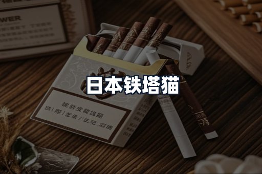 日本铁塔猫